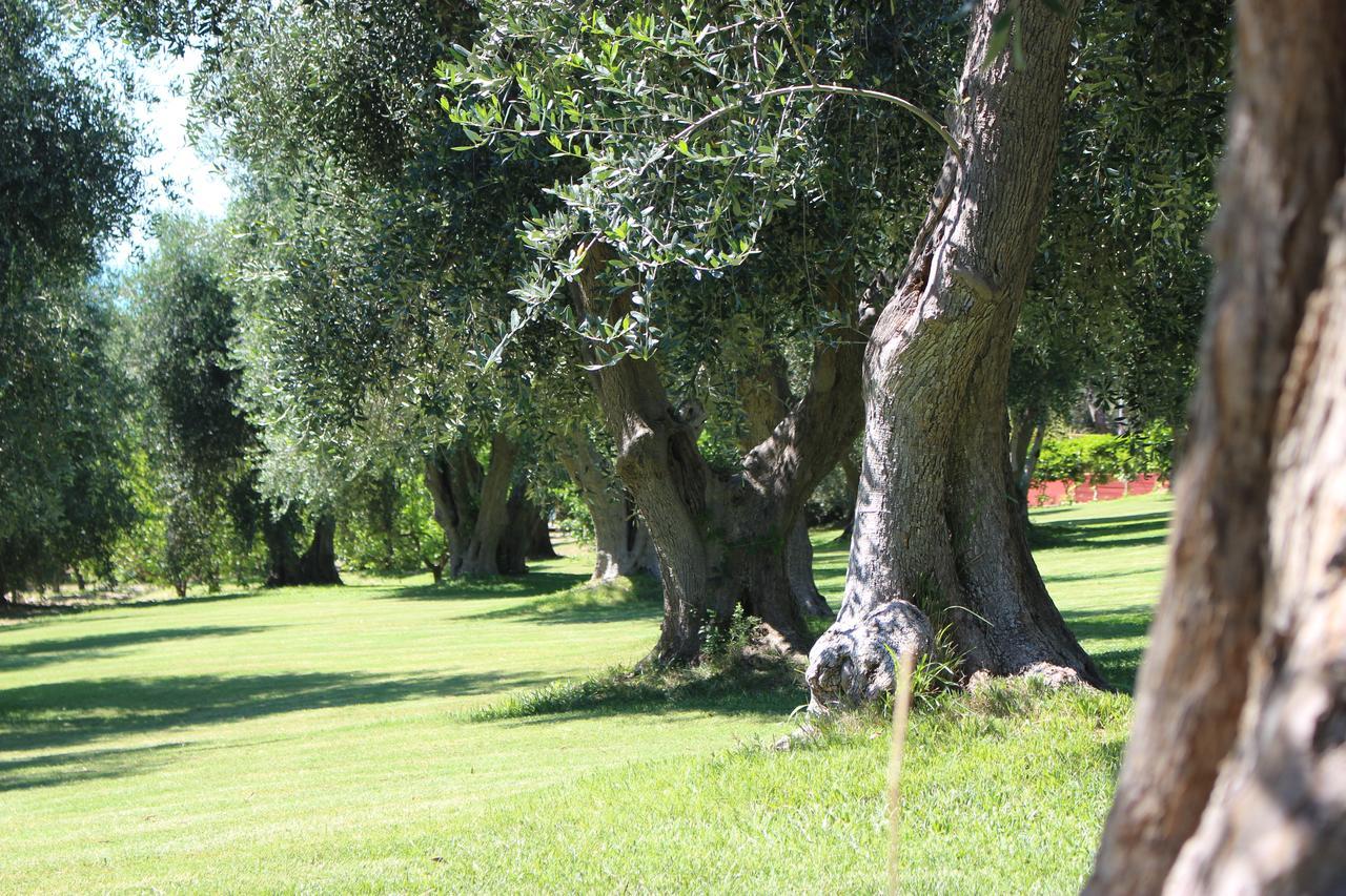 Villaggio Uliveto Rodi Garganico Exterior photo